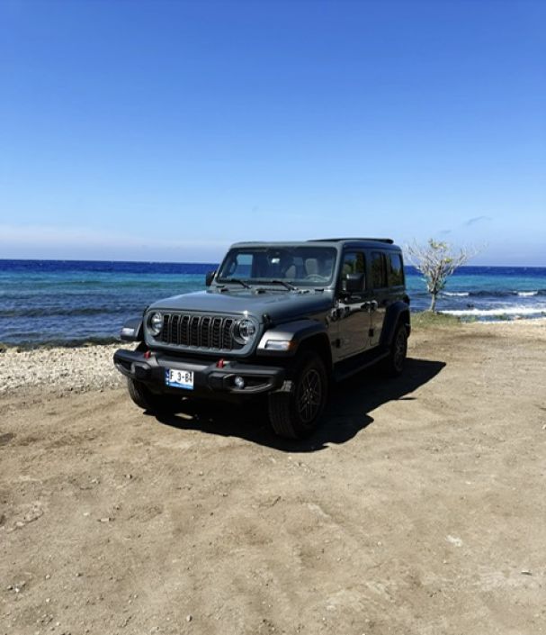 Jeep Wrangler met elektrisch Sunroof