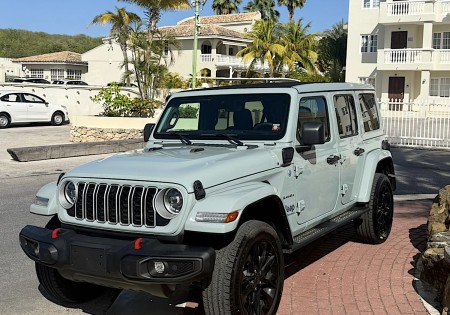 Jeep Wranglers Special Green