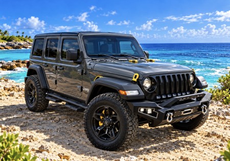 Jeep Wrangler Special Edition ( Hardtop ) Sting Grey